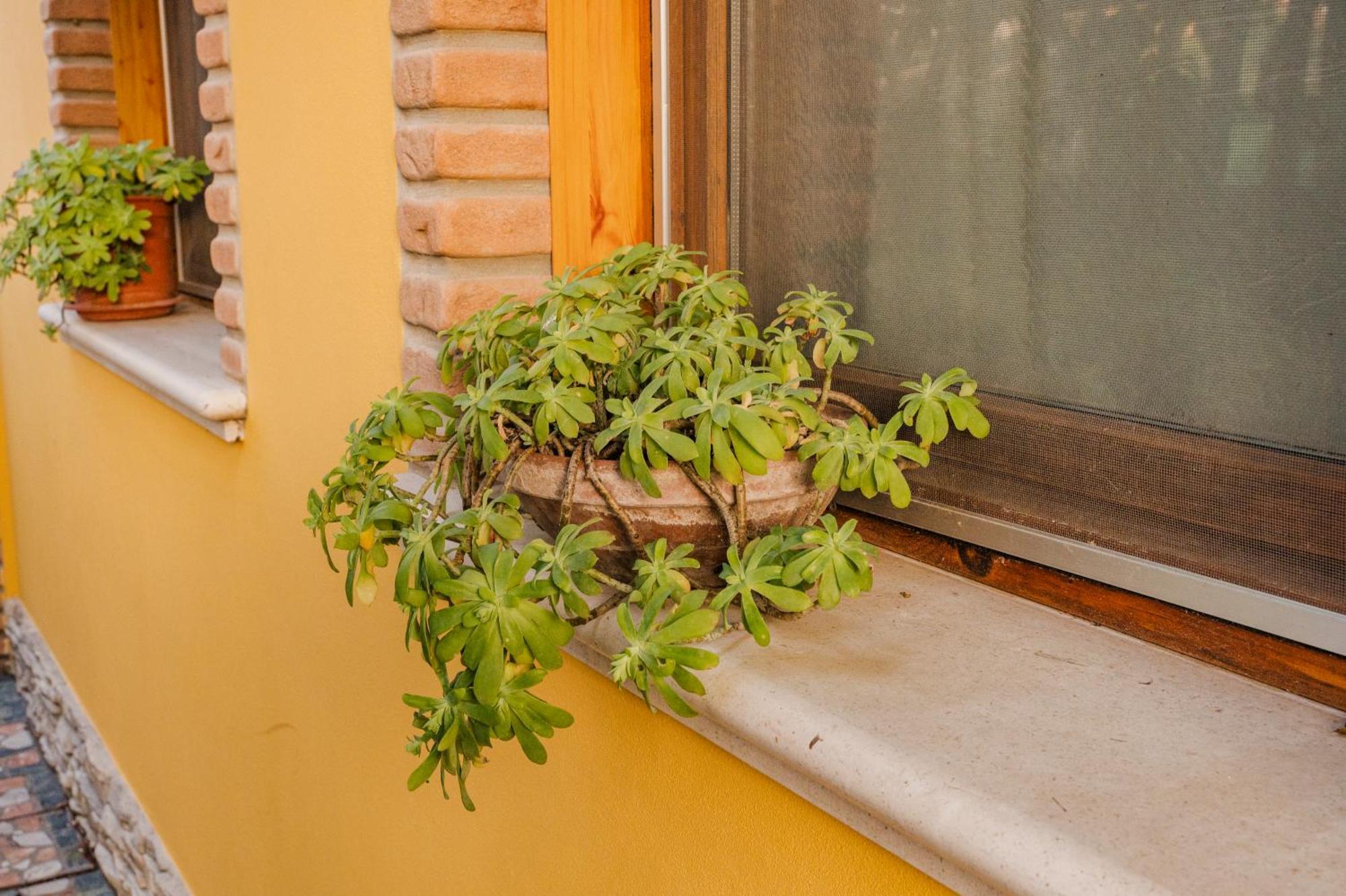 La Loggia Panzió Comacchio Kültér fotó